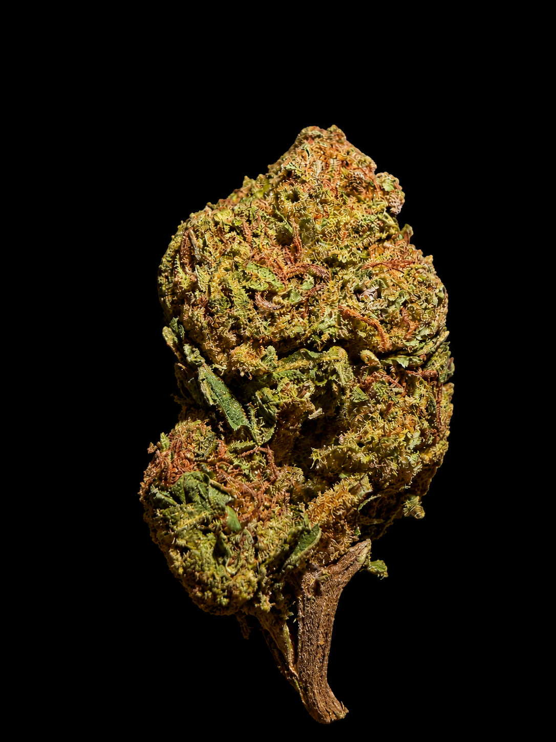 Red Tangy